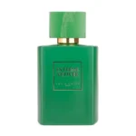 Extreme Vetiver – Apa de Parfum Arabesc Unisex Riiffs, 100ml – Note Lemnoase și Proaspete
